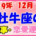牡牛座の2019年12月の仕事・恋愛運勢!専門分野の勉強をしてみて!
