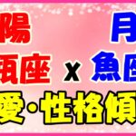 太陽星座　水瓶座　ｘ　月星座　魚座の性格と恋愛傾向!多くの人に可愛がられるタイプの人!