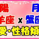 太陽星座　山羊座　ｘ　月星座　蟹座の性格と恋愛傾向！厳しさと優しさを兼ね備えた人！
