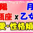 太陽星座水瓶座x月星座乙女座の性格・恋愛傾向のサムネイル画像