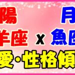 太陽星座　山羊座　ｘ　月星座　魚座の性格と恋愛傾向！現実的な部分と夢想家の部分を持ち合わせている！