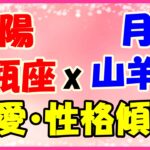 太陽星座　水瓶座　ｘ　月星座　山羊座の性格と恋愛傾向!知的でクールだけど真面目!