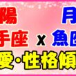 太陽星座　射手座　ｘ　月星座　魚座の性格と恋愛傾向のサムネイル画像