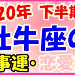2020年下半期の牡牛座の仕事運・恋愛運!運命的なパートナーが見つかる予感!