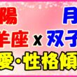 太陽星座山羊座x月星座双子座の性格・恋愛傾向のサムネイル画像