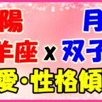 太陽星座　山羊座　ｘ　月星座　双子座の性格と恋愛傾向！情報通で学ぶことが好きな勉強家！
