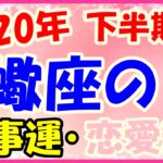 2020年下半期の蠍座の仕事運・恋愛運!専門分野の勉強をしてみてみるのも!