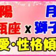 太陽星座水瓶座x月星座獅子座の性格・恋愛傾向のサムネイル画像