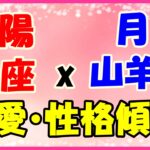 太陽星座　魚座　ｘ　月星座　山羊座の性格と恋愛傾向！感受性が豊かな努力家の人！