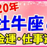2020年の牡牛座の金運・仕事運!一年を通して安定している!